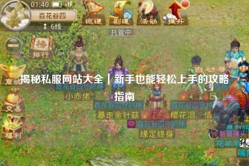 揭秘私服网站大全｜新手也能轻松上手的攻略指南